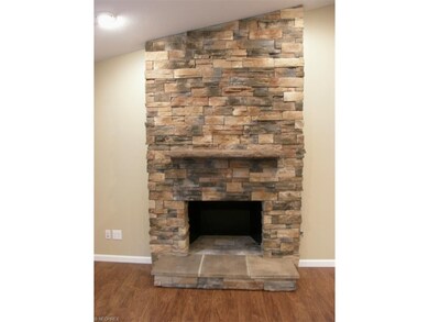 Custom wood burning stone fireplace...gas line in 