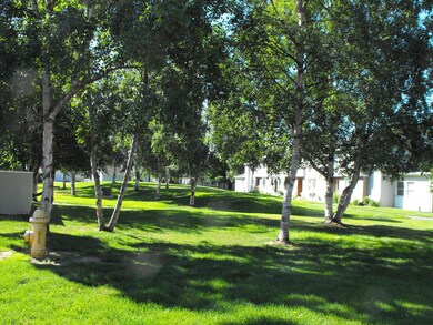 DSCF0024