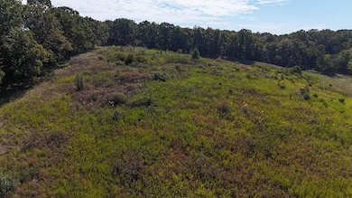 2-C White Ash Rd, North Galloway Township, MO 65669 - photo 4