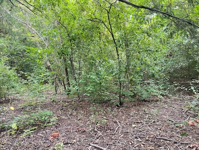 1351 N Sheridan Rd, Lake Forest, IL 60045 - photo 5