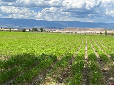 TBD D50 Rd, Delta, CO 81416 - photo 3