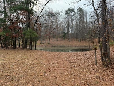 2829 Winningham Rd, Crewe, VA 23930 - photo 7