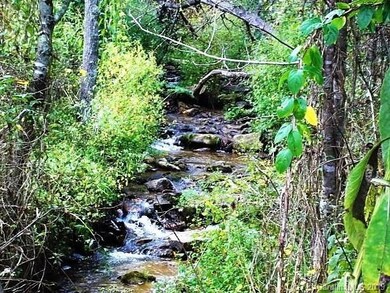 0 Little Creek Rd unit 3531341, Burnsville, NC 28714 - photo 6