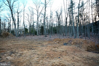 0 Lower View Rd unit 1000406655, Strasburg, VA 22657 - photo 4