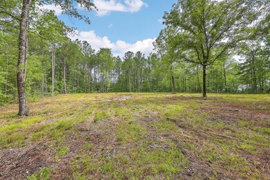 ZYN_1479_80_81_82_83_84_85