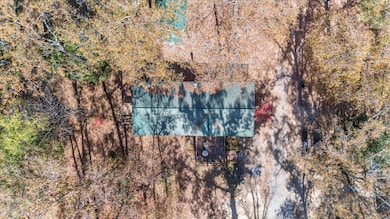 529 Cumbee Trail Rd, Ridge Spring, SC 29129 - photo 4