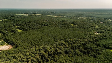 000 Highway 1083, Covington, LA 70435 - photo 6