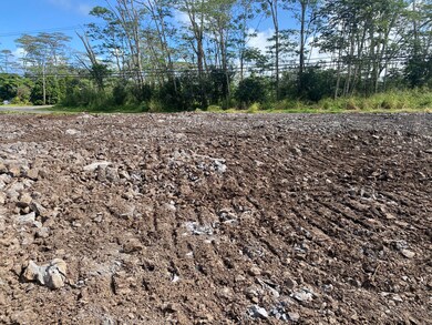 0 Makuu Dr unit 714944, Keaau, HI 96749 - photo 5