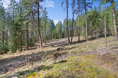 L1B1 NKA Highway 97, Harrison, ID 83833 - photo 6