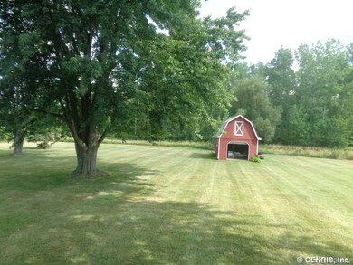 Yard.