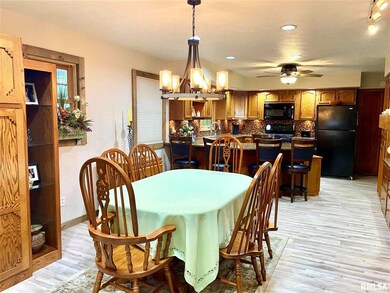 1372 Airport Rd, Lincoln, IL 62656 - photo 3