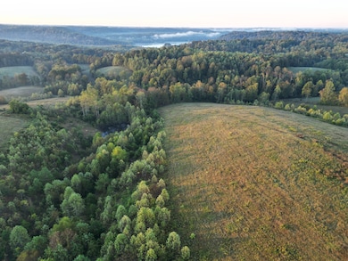 0 Casey Creek Rd, Knifley, KY 42753 - photo 3