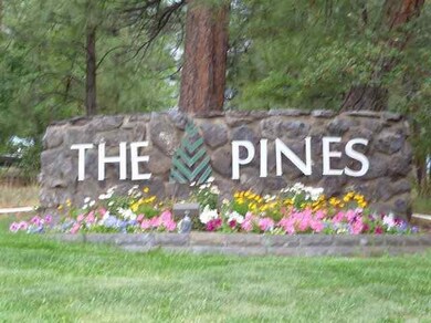 2700 S White Mountain Rd unit 801, The Pines, Show Low, AZ 85901 - photo 4