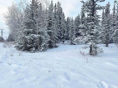 L11 B13 Kimball St, Delta Junction, AK 99737 - photo 4