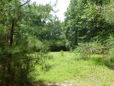 10103 Seneca Trail, Magnolia, TX 77354 - photo 5