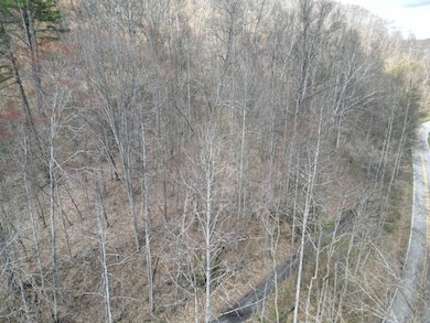 13278 Ridgeview Nellis Rd, Costa, WV 25051 - photo 5