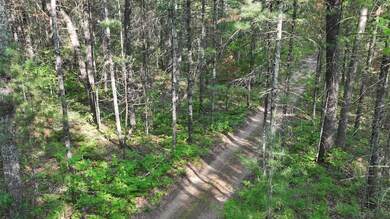 trail view 1
