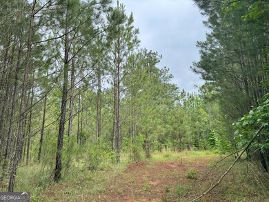 8 Emmaus Dr, Elberton, GA 30635 - photo 7