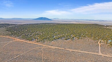 0 Elk Park Rd unit 22548893, San Luis, CO 81152 - photo 2