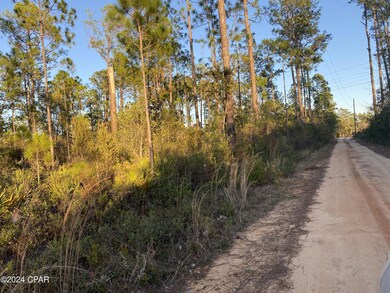 0 Barnes Rd unit 751317, Fountain, FL 32438 - photo 5