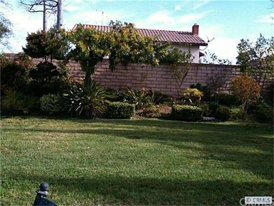 Back yard view