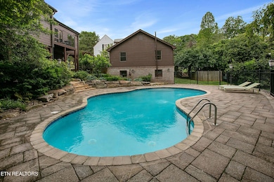 Saltwater Gunite Pool