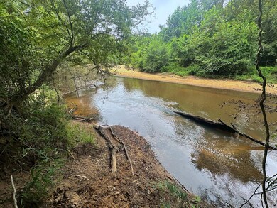 0 County Road 209 Rd, Selma, AL 36701 - photo 5