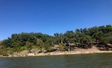 Lot 29 Turner Ranch Rd, Brownwood, TX 76801 - photo 7