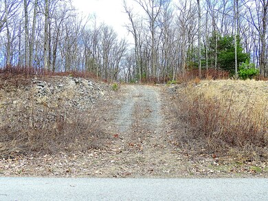 Lot #108 Blue Heron Way, Hawley, PA 18428 - photo 2
