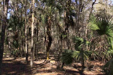 105 Purify Bay Rd, Crawfordville, FL 32327 - photo 3