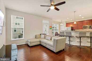 25219 Briargate Terrace, Chantilly, VA 20152 - photo 6