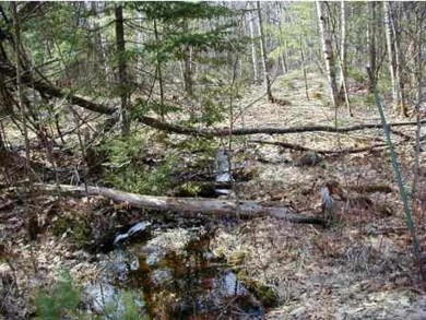 LOT 7+8 Susie Driscoll Rd, Campton, NH 03223 - photo 4