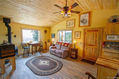 4134 Buffalo Ridge Rd, Como, CO 80432 - photo 5