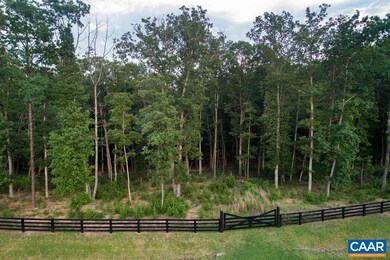 0 Carroll Creek Rd unit 607209, Keswick, VA 22947 - photo 2