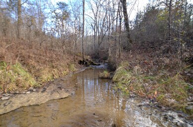 With so many fresh mountain water spring