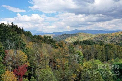VL25 Mountain Forest Rd, Sylva, NC 28779 - photo 7