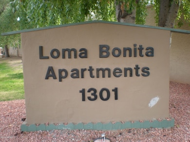 1301 E Mountain View