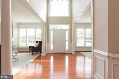 4706 Barnum Ln, Alexandria, VA 22312 - photo 4