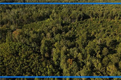 0 Chris Run unit 10611263, Louisa, VA 23093 - photo 4