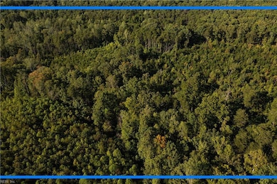 25 ac Chris Run, Louisa, VA 23093 - photo 4