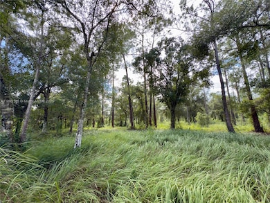 2005 Evans Rd, La Belle, FL 33935 - photo 7