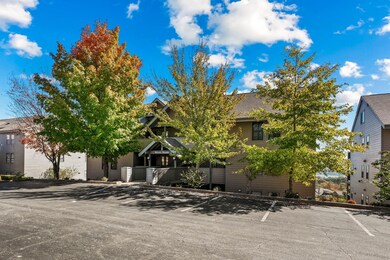 3 Treehouse Ln unit 2, Branson, MO 65616 - photo 3