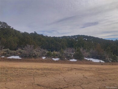 00 Rd, Fort Garland, CO 81133 - photo 4