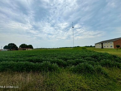 IMG_5187~photo-full