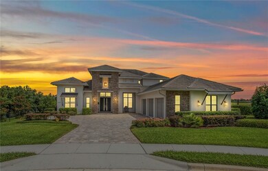 Dusk - Front