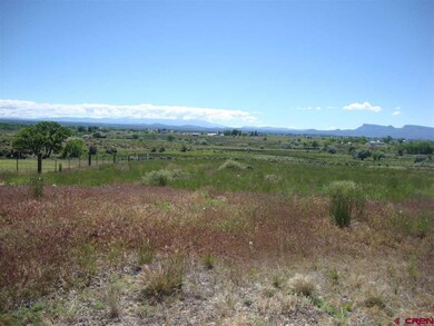 0 Road 24 6 unit 707703, Cortez, CO 81321 - photo 5