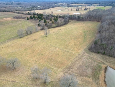 1038 Maple Valley Rd, Cumberland Furnace, TN 37051 - photo 2