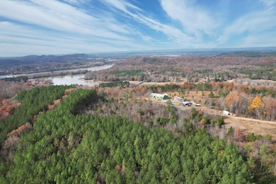 338 County Road 41, Calhoun, TN 37309 - photo 5