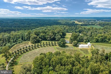 195 Harwood Rd, Harwood, MD 20776 - photo 4