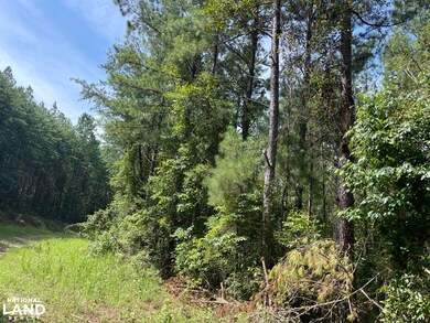 0 Turner Rd unit 21139205, Tuscaloosa, AL 35406 - photo 5